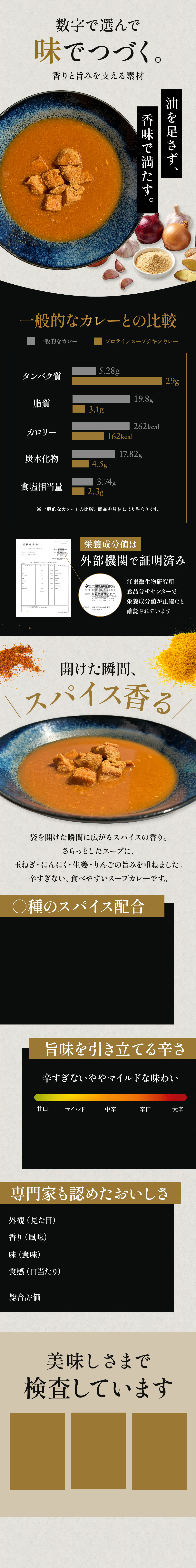 プロテインカレー LPデザイン 3